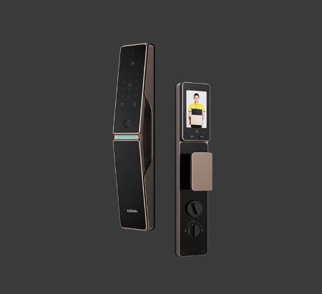 Leelen App Remote Control Fingerprint 3D Face Recognition Electronic Smart Lock